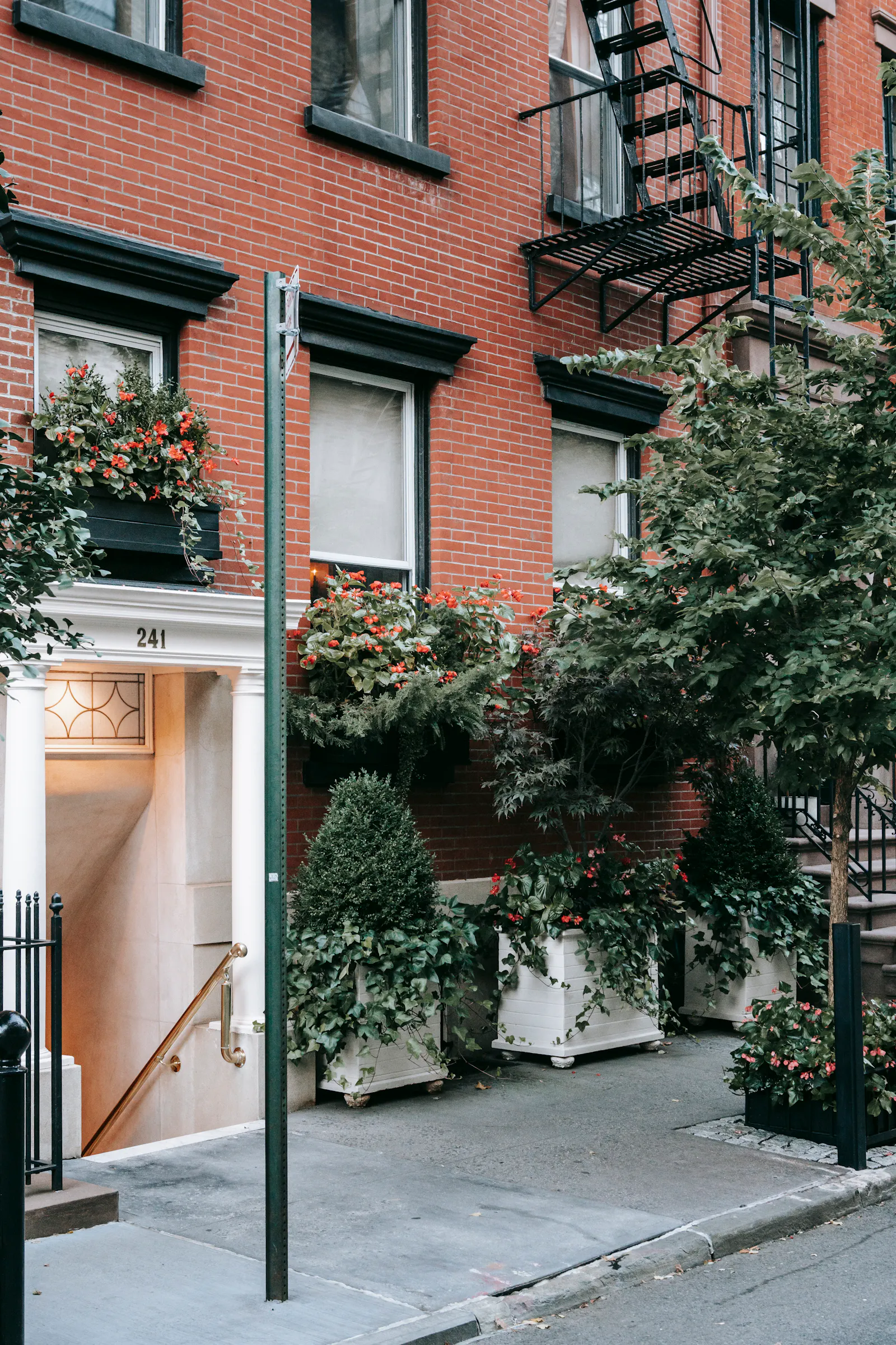 Welcoming clinic entrance with greenery and a calm professional street presence