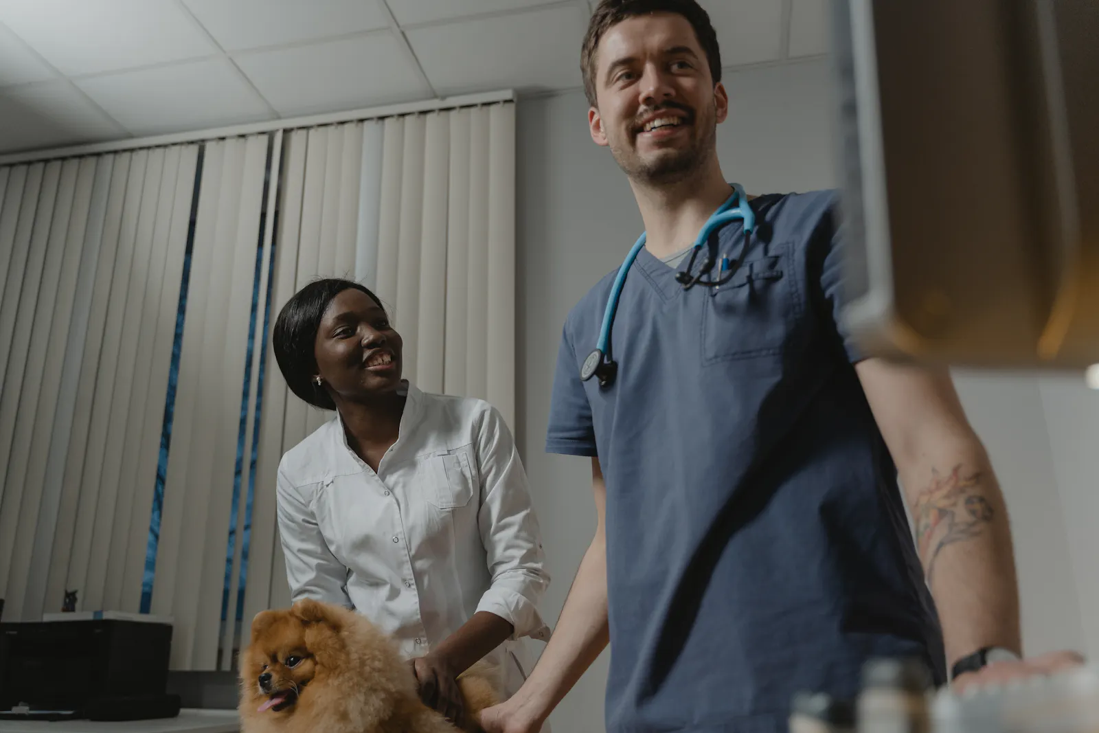 Friendly veterinary team caring for a small dog in a calm clinic environment