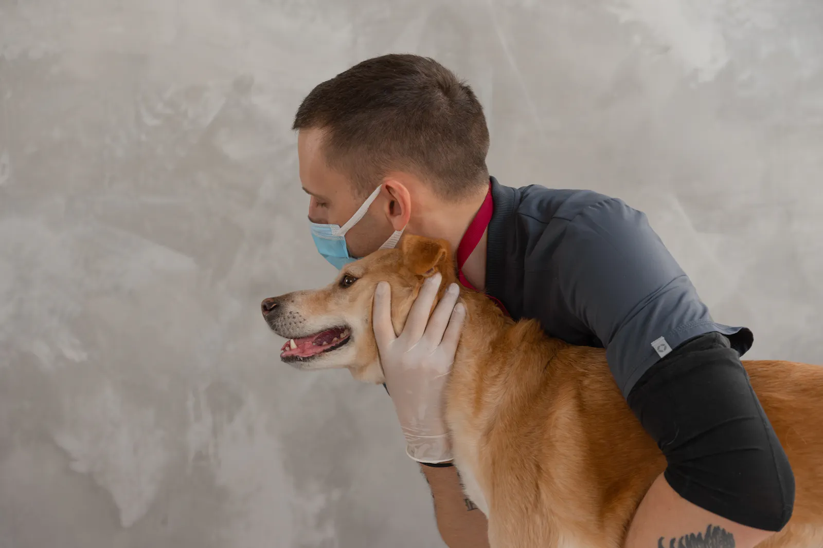 Veterinarian gently comforting a calm dog during a caring examination