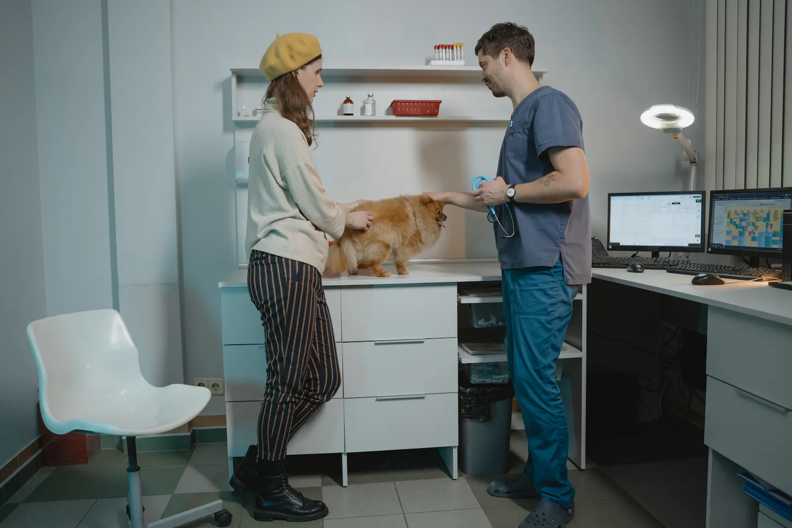 Veterinarian speaking with a pet owner beside a fluffy dog in a calm consultation room at Old Chapel Veterinary Clinic