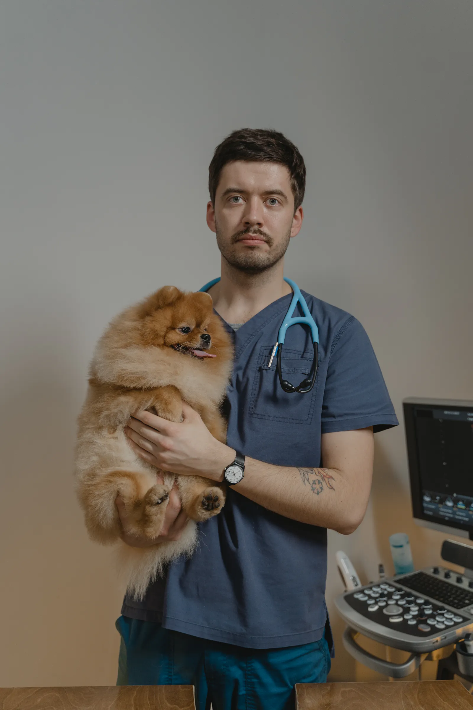 Approachable veterinarian holding a small dog for a warm professional portrait